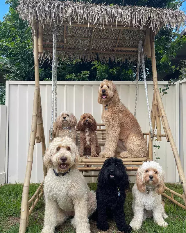 Dondolo esotico per giardino