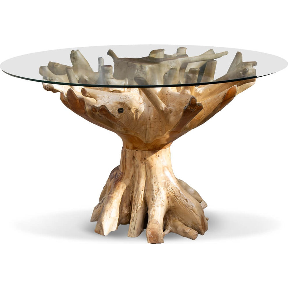 Tavolo Radice Teak con Piano in Vetro